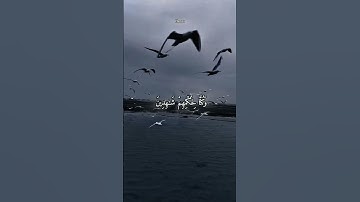 وَدَاوُۥدَ وَسُلَيْمَـٰنَ إِذْ يَحْكُمَانِ- سورة الأنبياء- عبد الباسط عبد الصمد #تلاوة_خاشعة