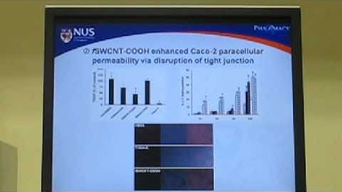 Functionalized carbon nanomaterials - Video abstract: 23962