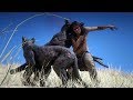 NATIVE AMERICAN Gameplay in Red Dead Redemption 2 PC ✪ Vol 6