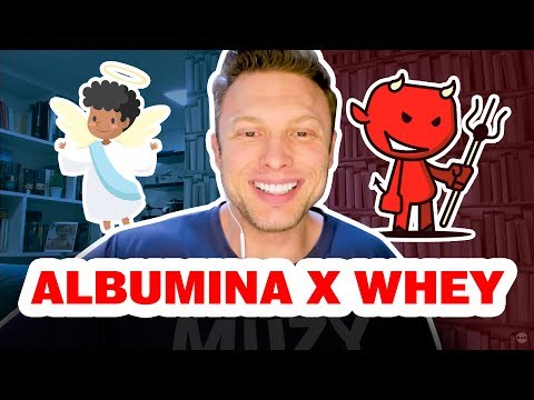 ALBUMINA X WHEY PROTEIN I QUAL É MELHOR?
