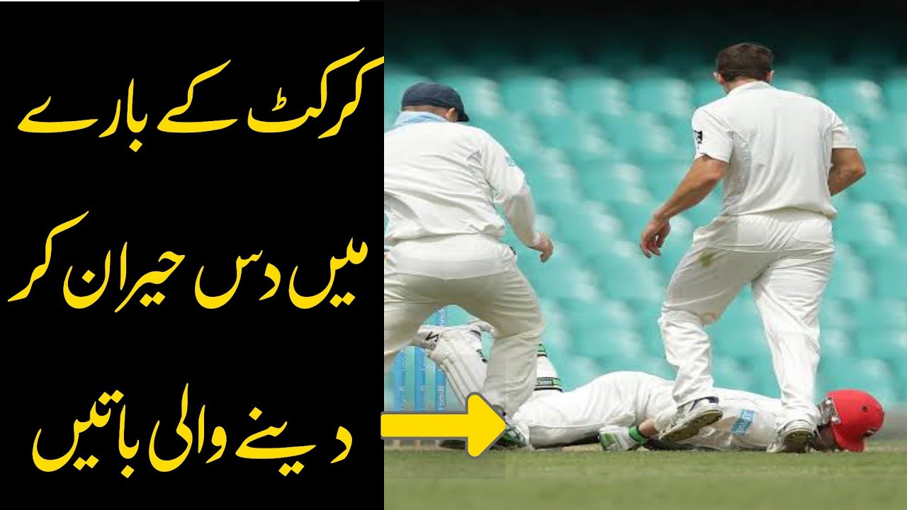 Top Ten Amazing Facts About Cricket | Amazing Cricket Facts in Urdu - Urdu Globe