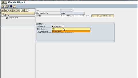 SAP Training : SAP HCM OM_JOB CREATION