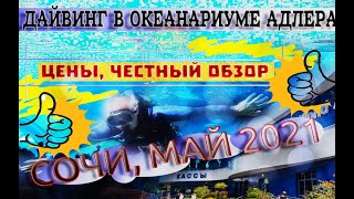 СОЧИ 2021 ДАЙВИНГ| ОКЕАНАРИУМ АДЛЕРА | ЦЕНЫ И ЧЕСТНЫЙ ОТЗЫВ | ПОГОДА НА ЧЕРНОМ МОРЕ