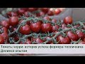 Выращивание томатов черри: история успеха фермера-тепличника | Делимся опытом