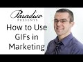 How to use GIFs in Marketing | Paradiso Presents