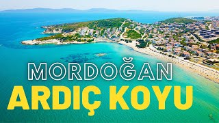 Ardıç Plajı Mordoğan Karaburun Koyları