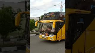 Bus Sempati Star Terbaru Sweden