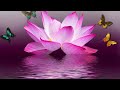 Deep healing energy  528hz ancient frequency  sound healing waves  zen meditation  stress relief