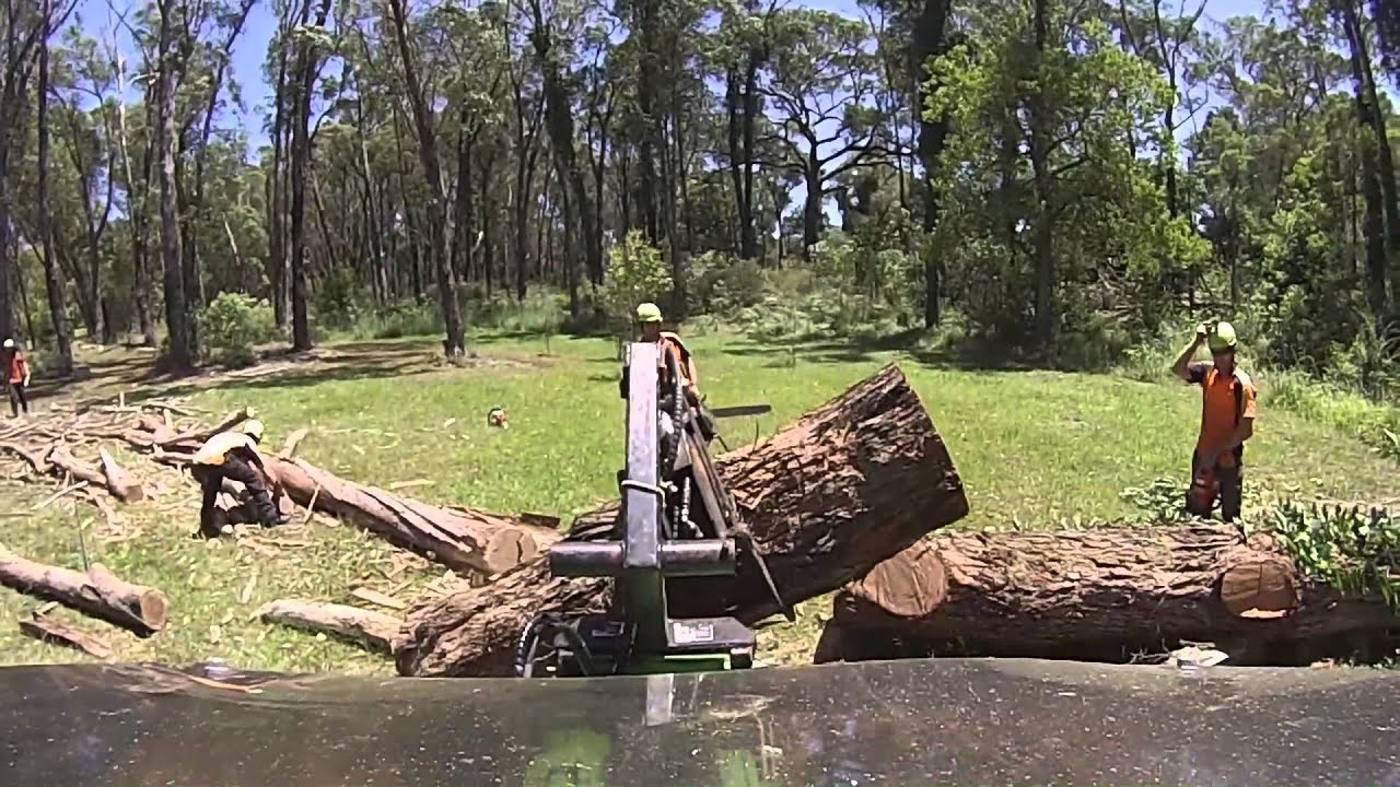 Dead Tree Removal Newcastle - YouTube