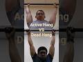 Active Vs Dead Hang: What's the Difference #pullup #pullups #