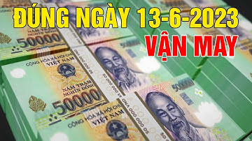 Tử Vi Hằng Ngày 13/6/2023 CHÚC MỪNG 3 CON GIÁP VẬN MAY LỚN