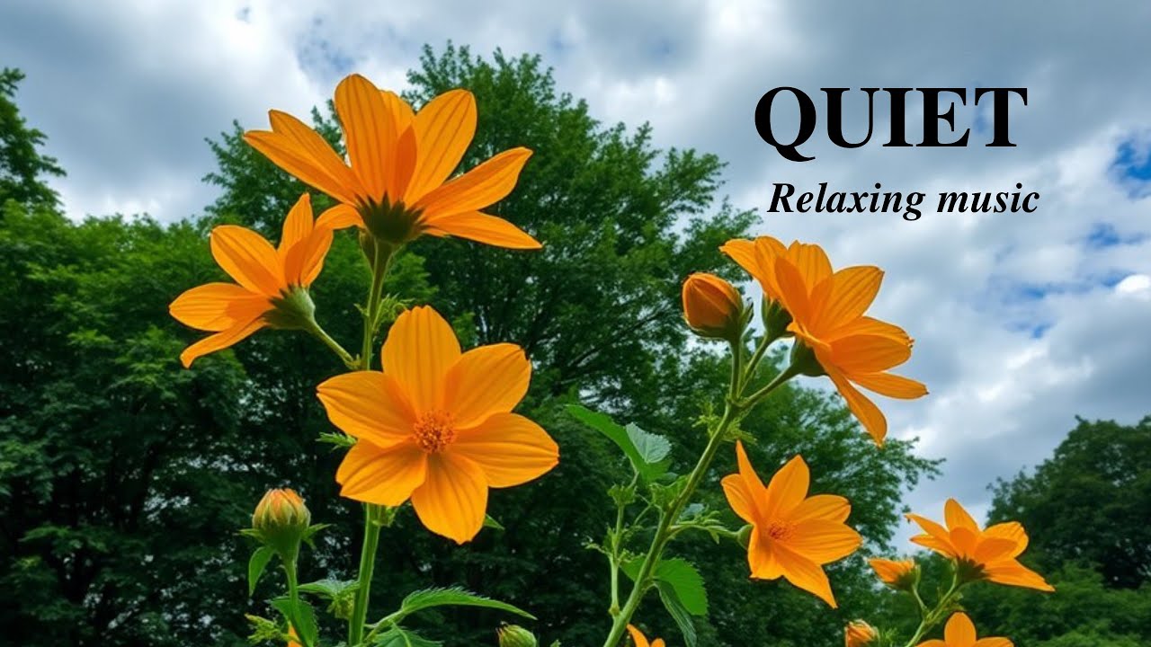 🎶🌱Relaxing Guitar and Piano | Stress Relief | Calm Memory | Quiet Day😴 ...