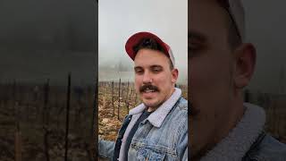 🇮🇱 ✂️ Pruning prophecy