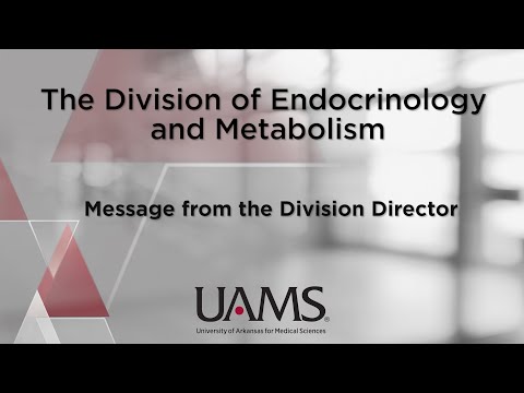 Message from the Endocrinology Division Director