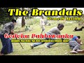 Babas bingkas  the brandal  komedi action  7