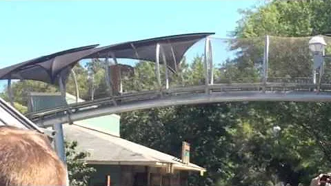Big Cat Crossing - Zoo360 - Philadelphia Zoo