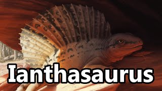 Ianthasaurus: An Early Sail Backed Synapsid