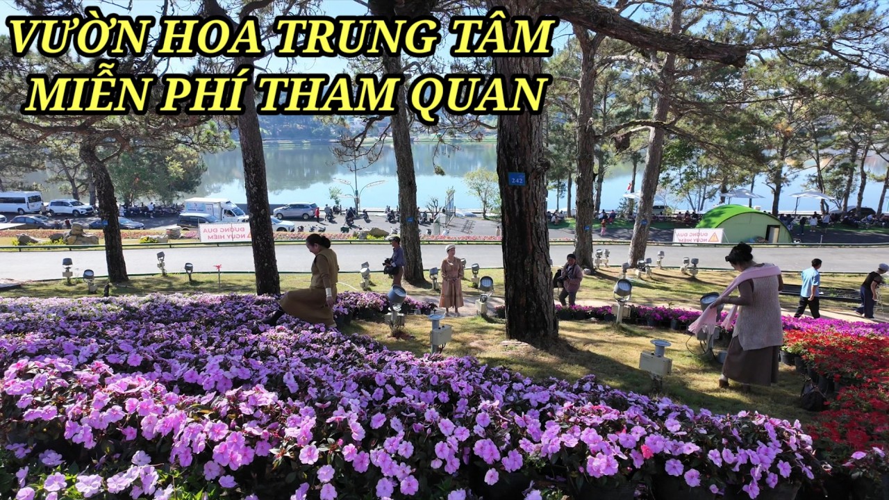 Miễn phí tham quan ở vườn hoa bên trong đồi Cù Đà Lạt đẹp quá