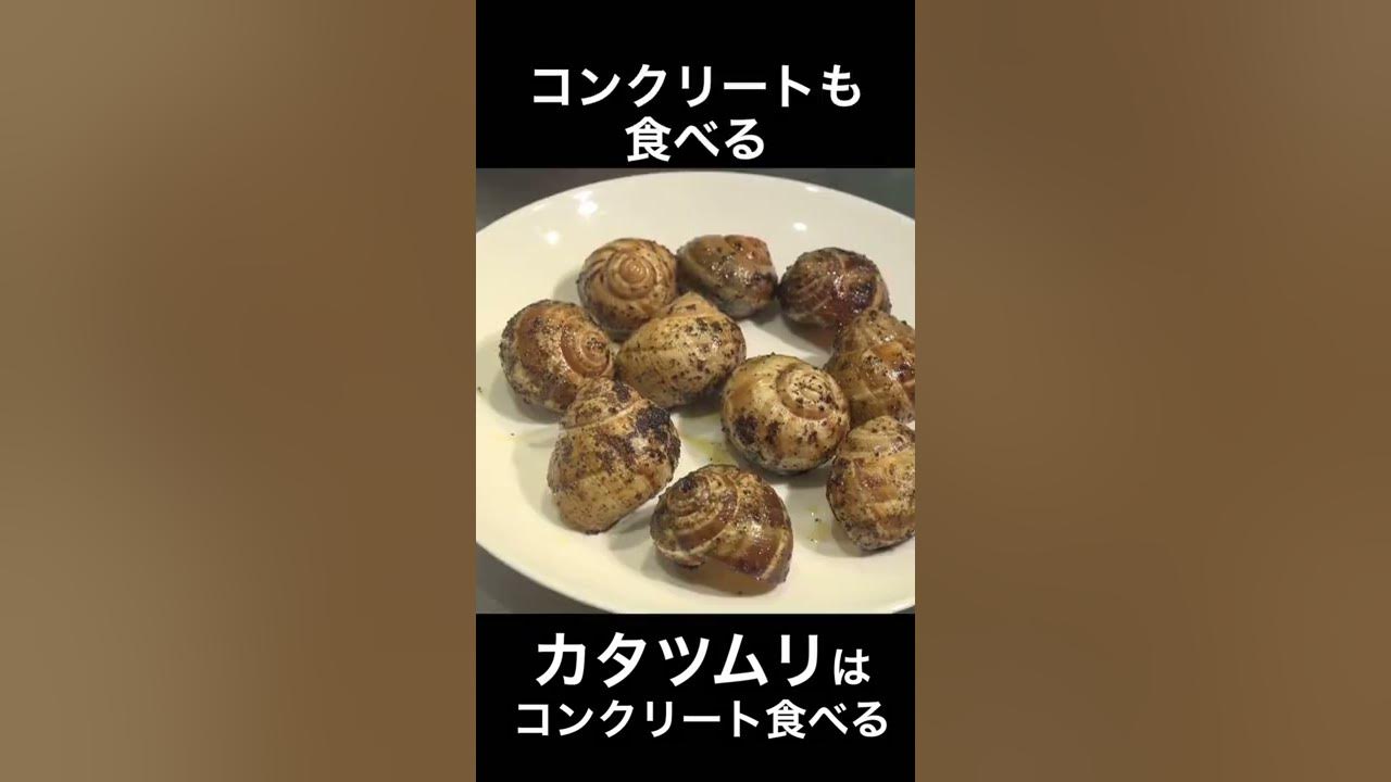 カタツムリってコンクリート食べるって本当 Shorts Youtube