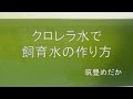 ［筑豊めだか］　クロレラ水で飼育水（グリーンウォーター）の作り方