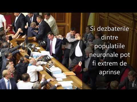 Video: Cum să visezi (cu imagini)