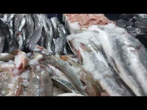 مرحبا بالجميع ليوم 08 10 25 فرخ 35 روبيو 35 صنور 50 قرب 60 دخلوا تسمعوا الأثمنة 0691463136