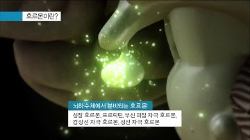 호르몬이란?