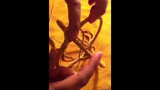 Crystal's 3D Dreamcatcher Tutorial: Start to Finish