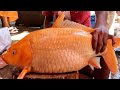Never seen big carp fish cutting live in fish market  fish cutting skills