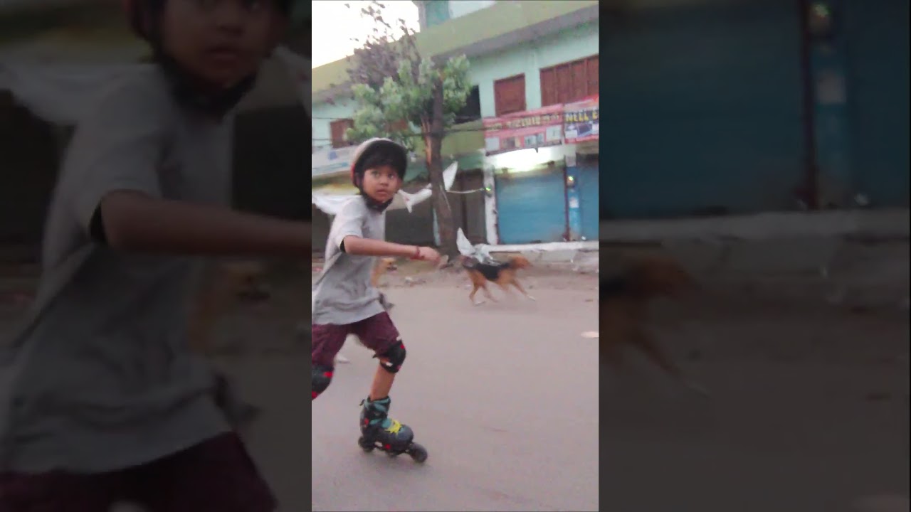 oh Shit! | Skating Gone Wrong | Moments Dogs vs Safety NishanK Daily Vlogs | Skating king