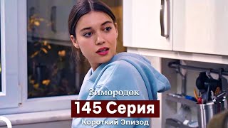 Зимородок 145 Cерия (Короткий Эпизод) (Русский Дубляж)