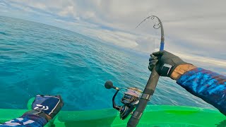 Download Lagu AKHIRNYA KETEMU SARANG IKAN MONSTERNYA !!! MP3 Download Lagu AKHIRNYA KETEMU SARANG IKAN MONSTERNYA !!! MP3