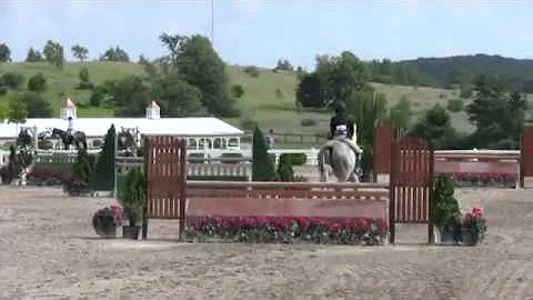 Video of CALVI ridden by TAYLOR SCHMIDT from ShowN...