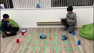 Rithysh and Andrew's Robot Soccer Showdown: Coding Every Move on the Field