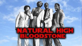 Natural High Bloodstone