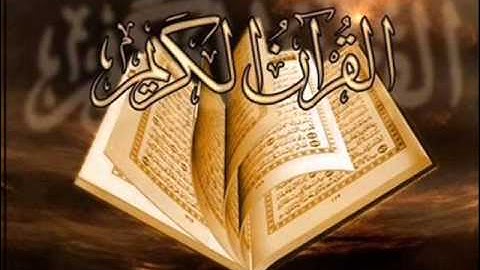سورة الرحمن القارئ الشيخ وديع حمادي اليمني