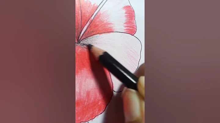 Hibiscus 🌺 Flower with pencil colour # shorts# akshuboom - DayDayNews