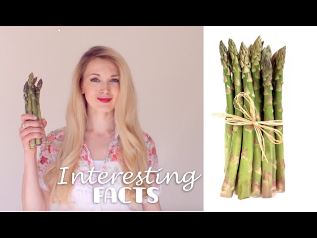 Неизвестные факты о спарже