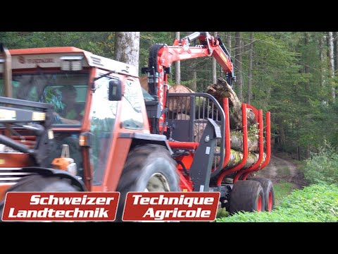 Krpan: Forstanhänger mit