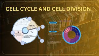 cell cycle and cell division