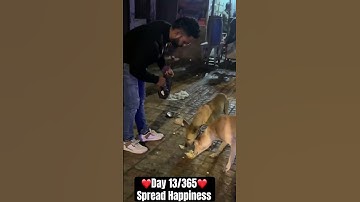 ❤️Day 13/365 Spread Happiness ❤️  #spreadsmile #doglover #ritikhappiness #love #streetdog