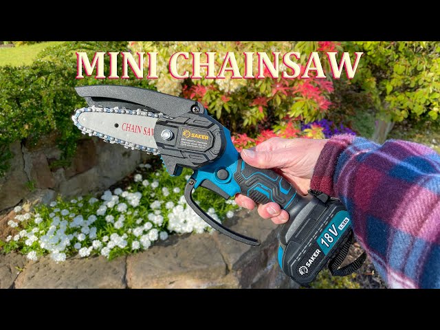 Product review: Saker electric mini chainsaw: A perfect tool for your  garden and backyard! - Welcome to Surbhi's Crazy Creative World