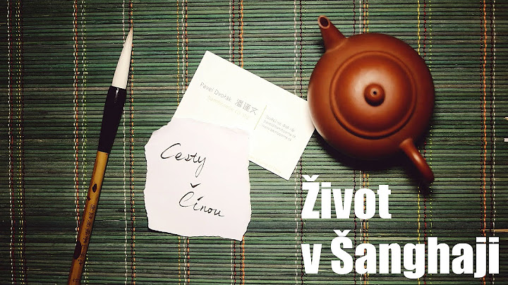Cesty Čínou #1: Život v Šanghaji ~ Bamboome