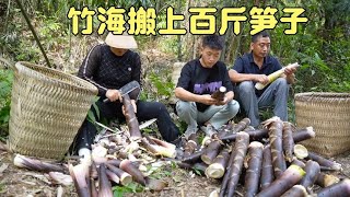 Xiao Tan took his parents to Zhuhai and moved hundreds of catties of bamboo shoots. The process was