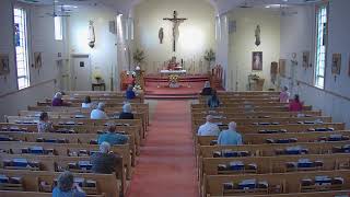 Daily Mass 8.00 a.m. 6-29-2026 (+) James Veronick by his Parents