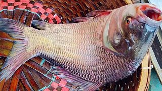 Traditional Fish Cutting In Bangladesh Big Katla Fish Cutting Skills Live In Fish Market