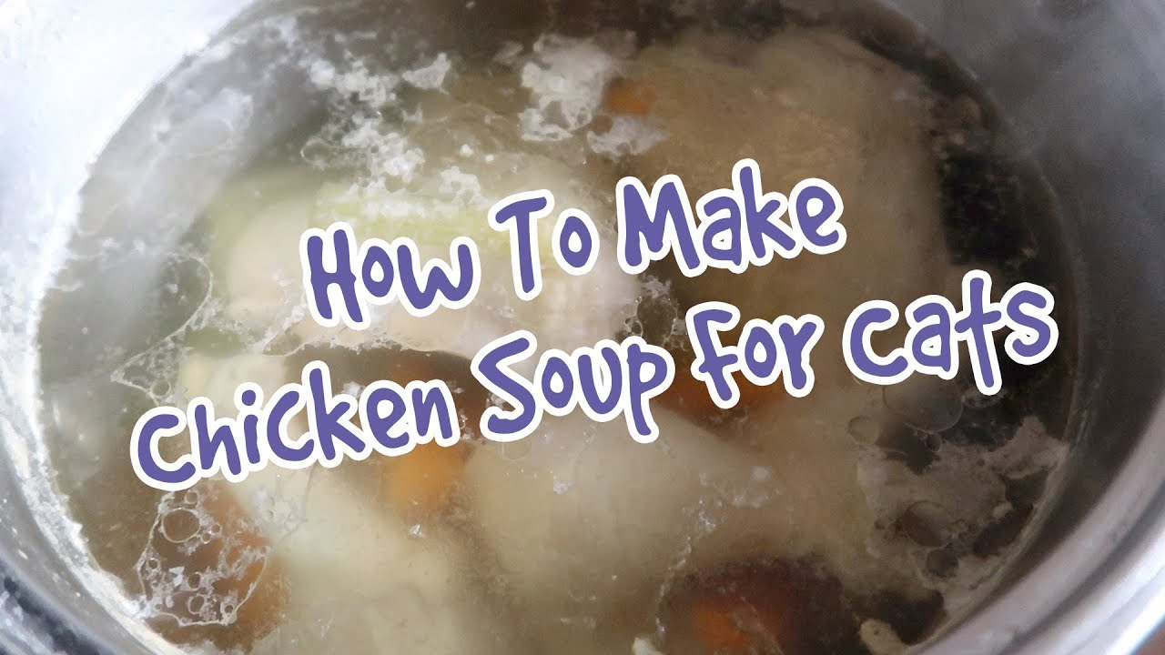 Chicken Broth For Cats Recipe 