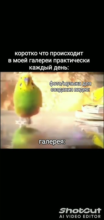 :/ я хз мем не мой - YouTube