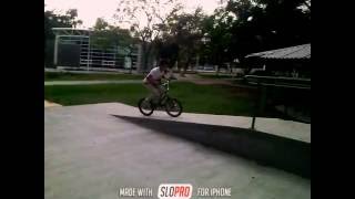Weezy Cult- Ride Bike- Bunny Bunny Jop Parque Del Arbol