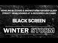 Howling Blizzard &amp; Snowstorm for Deep Sleep | Frosty Wind Sounds at a Secluded Log Cabin